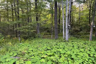 96 West St, Plainfield, MA 01070 - Photo 16