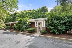 18 Chestnut Pl, Brookline, MA 02445 - Photo 1