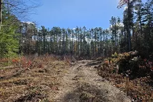 53 Daniel Shays Hwy, Orange, MA 01364 - Photo 1