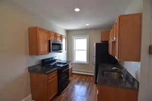 50 Lyon St, Boston, MA 02122 - Photo 4