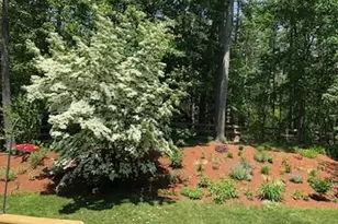 7 Trout Brook Way, Shirley, MA 01464 - Photo 36