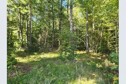 Lot 1 Montgomery Street, Lakeville, MA 02347 - Photo 8