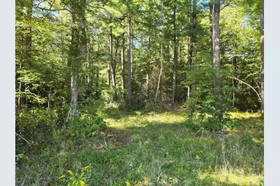 Lot 1 Montgomery Street, Lakeville, MA 02347 - Photo 4
