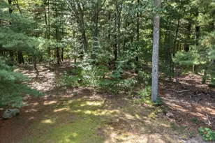 583 Gay St, Westwood, MA 02090 - Photo 38