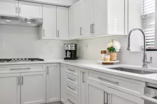 121 W Concord St, Boston, MA 02118 - Photo 8