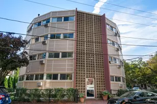 348 Franklin St, Cambridge, MA 02139 - Photo 18