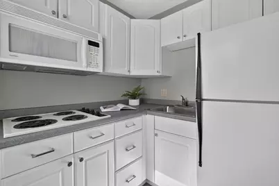38 Holbrook St, Boston, MA 02130 - Photo 22
