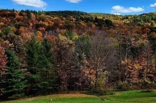 765 N Poland Rd, Conway, MA 01341 - Photo 36