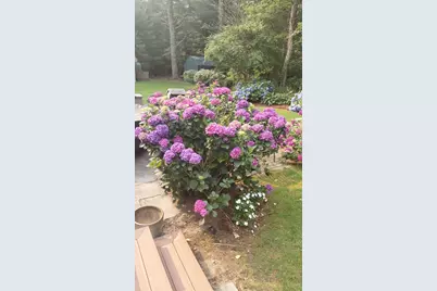 15 Tobisset St, Mashpee, MA 02649 - Photo 10