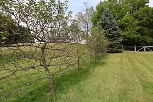 162 Jackson, Belchertown, MA 01007 - Photo 10