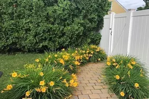 9 Myopia Rd, Stoneham, MA 02180 - Photo 30