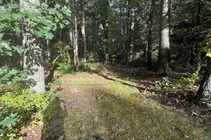 Lot 1 Northwest Rd, Westfield, MA 01085 - Photo 2