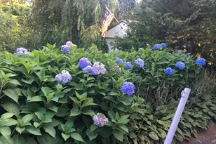 770 County St, Attleboro, MA 02703 - Photo 20