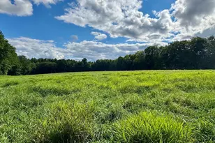 54 Patten Rd, Shelburne, MA 01370 - Photo 38