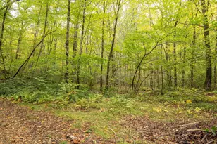 13 Walker Rd, Wales, MA 01081 - Photo 26