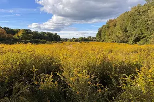 30V-Lot 1 Red Bridge Rd, Wilbraham, MA 01095 - Photo 1
