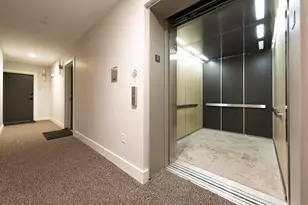 33-39 Ward St, Boston, MA 02127 - Photo 14