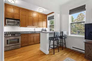 202 W Springfield St, Boston, MA 02118 - Photo 2