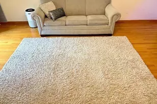 50/56 Broadlawn Parrk, Boston, MA 02267 - Photo 6