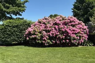 1566 Main St, Walpole, MA 02081 - Photo 24