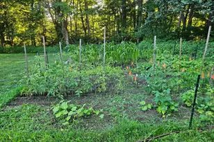 74 Elm St N, Barre, MA 01005 - Photo 28
