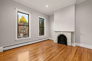 219 W Springfield, Boston, MA 02118 - Photo 10