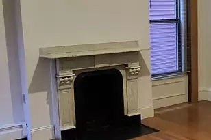 20 Perrin, Boston, MA 02119 - Photo 6
