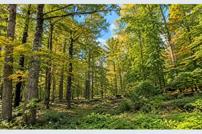 Lot 2 Ma-41, Richmond, MA 01254 - Photo 4