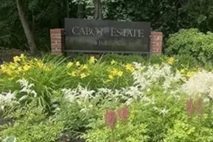 241 Perkins, Boston, MA 02130 - Photo 32