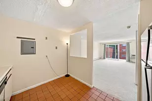 36 Bellvista Rd, Boston, MA 02135 - Photo 8