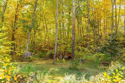 78 Potter Village Rd, Charlton, MA 01507 - Photo 38