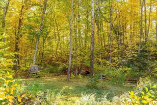 78 Potter Village Rd, Charlton, MA 01507 - Photo 38