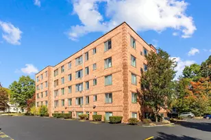 128 Pleasant St, Arlington, MA 02476 - Photo 24