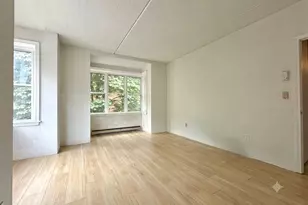 26 Ellingwood St, Boston, MA 02120 - Photo 14