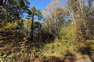 232 River Rd, Leyden, MA 01337 - Photo 32