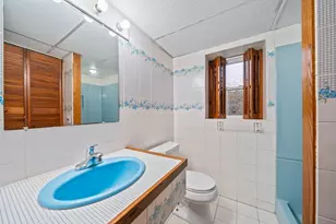 9 Vine St, Randolph, MA 02368 - Photo 26