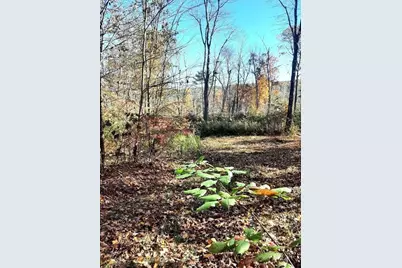 0 Brookfield Road, Brimfield, MA 01010 - Photo 6