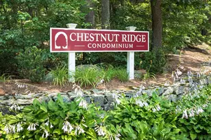 10 Magnolia Dr, Franklin, MA 02038 - Photo 40