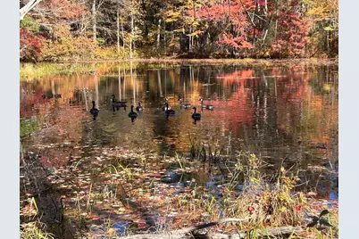 35 Martin, Douglas, MA 01516 - Photo 30