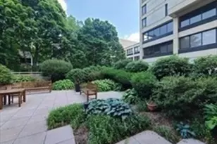 931 Massachusetts Ave, Cambridge, MA 02139 - Photo 16