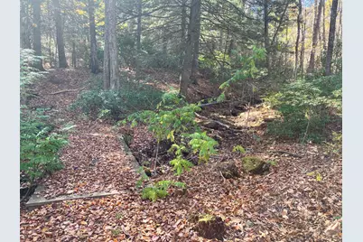 58 N. Wales Rd, Holland, MA 01521 - Photo 24