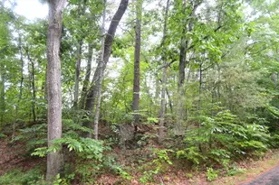 32 Coffey Hill Rd, Ware, MA 01082 - Photo 1