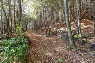 0 Orange Rd, Warwick, MA 01378 - Photo 1