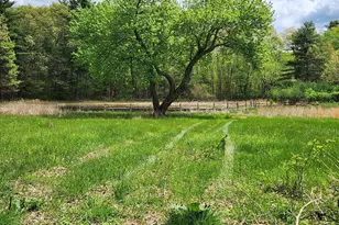 65 Farm Rd Lot 6, Sherborn, MA 01770 - Photo 1