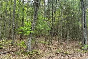 155 Stimson St, Palmer, MA 01069 - Photo 1