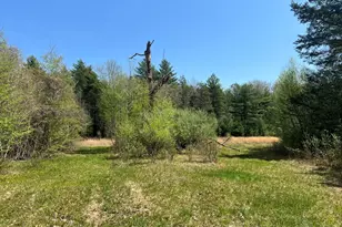 0 Old Dean St (Parcel 33), Norton, MA 02766 - Photo 1