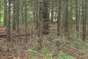 37 Ships Rudder Dr, Mashpee, MA 02649 - Photo 1