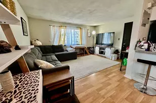 260 River St, Waltham, MA 02453 - Photo 1