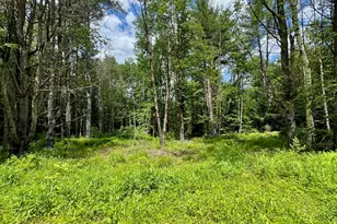 0 Shelburne Falls Rd, Conway, MA 01341 - Photo 1