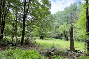 0 John Ford Rd, Ashfield, MA 01330 - Photo 1